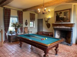 a living room with a pool table and a fireplace at Les Confidences de Messire Sanglier, stylished guest houses in Beauraing