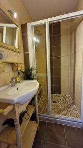 a bathroom with a sink and a shower at La Flambée in Blond +45 photos