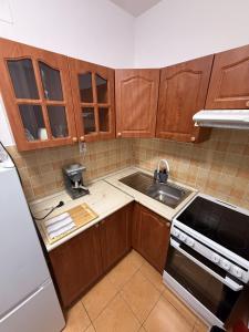 a small kitchen with wooden cabinets and a sink at GINGER apartman in Hajdúszoboszló