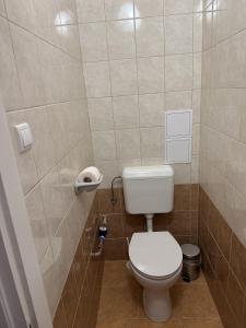 a small bathroom with a toilet and a shower at GINGER apartman in Hajdúszoboszló +16 photos