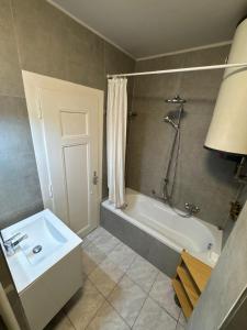 a bathroom with a tub and a sink and a shower at Cosy studio a Lausanne center in Ouchy