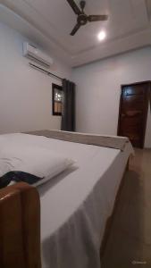 a bedroom with a bed with a ceiling fan at Villa Moderne 4 Chambres avec Suite in Loué