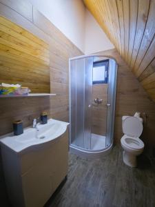 a bathroom with a shower and a toilet and a sink at Cabana Z-Haven in Ungureni