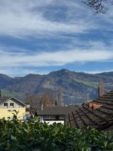a view of the water and mountains with houses at Lake View near Lucerne in Hergiswil