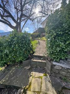 a stone path with a tree in the middle at Lake View near Lucerne in Hergiswil +2 photos