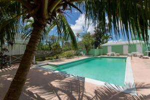 a swimming pool with a palm tree next to a house at Tangerine Sunsets Murcott in Nassau +17 photos