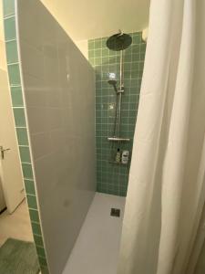a bathroom with a shower with green tile at La suite Galerie d'ART in Céret