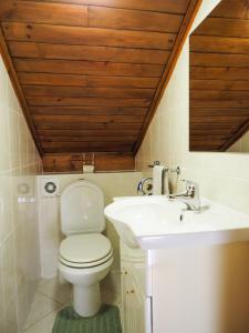 a bathroom with a toilet and a sink at Casa do Batoco in Vieira do Minho +39 photos