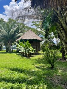 a small hut with a grass roof in a field at Tambopata Haven lodge in Puerto Maldonado