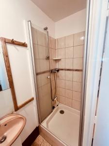 a bathroom with a shower and a sink at Le Petit Ousson Studio avec Jardin in Briare