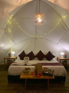 a bedroom with a bed in a tent with lights at Origen Glamping en Villa de Leyva in Villa de Leyva