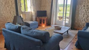 a living room with two blue couches and a tv at La Chaumière in Salles-Lavalette