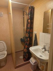 a bathroom with a toilet and a sink and a shower at Alvaret Solhyddan in Köpingsvik