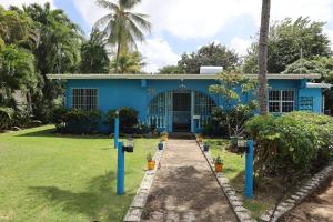 a blue house with potted plants in front of it at Villa Blue Nights in Saint James