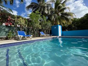 a swimming pool with two blue chairs and palm trees at Villa Blue Nights in Saint James
