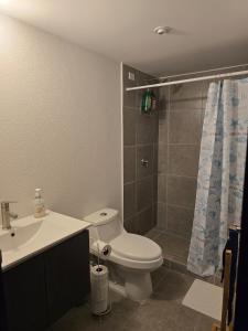 a bathroom with a toilet and a shower and a sink at Apartamento en Parque Mateo in Guatemala +15 photos