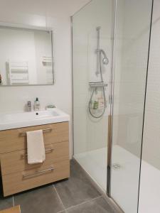a bathroom with a shower and a sink at La Maison d'Eana in Maintenon