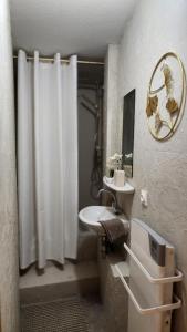 a bathroom with a sink and a shower curtain at Logement atypique en souplex in Sélestat +8 photos