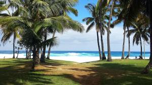 a group of palm trees on a beach with the ocean at L' Amandava in Petite Île