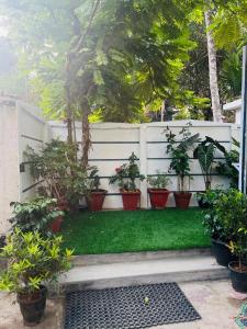 a white fence with potted plants on a lawn at Nandbhavan Guruvayur in Guruvāyūr +17 photos