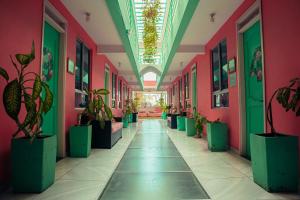 a hallway with potted plants and pink and green walls at La Brisa Loca Hostel in Santa Marta