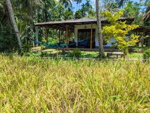a house in a field of tall grass at Crystal Water Inn in Bibile