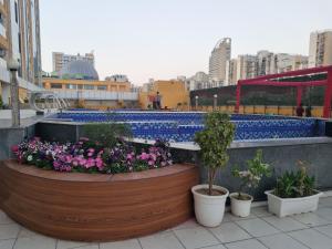 a pool with some flowers and plants in pots at Tranquil Homes in Noida