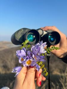 a person holding a camera with purple flowers at Getaway Nook in Dedoplis Tskaro