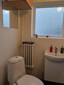 a bathroom with a toilet and a sink and a window at SelfossCenter flat in Selfoss +9 photos