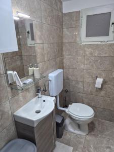 a bathroom with a white toilet and a sink at Solmar Adriatica Apartman in Banjole +16 photos