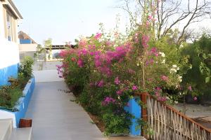 a garden with pink flowers on a fence at Valentina Salchi suites virgin beaches internet in Cuatunalco