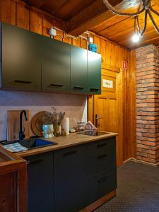 a kitchen with green cabinets and a sink at LookTatry Willa Pod Stokiem Apartments & Jacuzzi in Zakopane