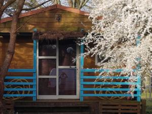 a cabin with a flowering tree in front of it at Chalet Zen dans les landes in Castets