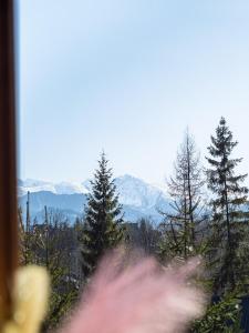 a view of trees and mountains from a train window at LookTatry Willa Pod Stokiem Apartments & Jacuzzi in Zakopane
