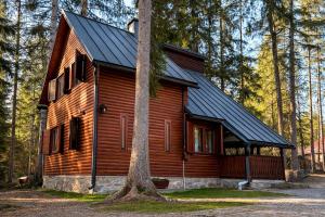 a wooden cabin in the woods with a tree at Cabana Adrienne in Izvoru Mureşului