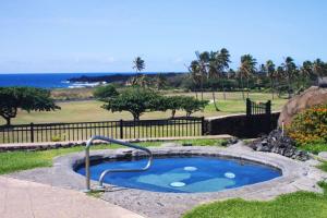 a small pool with a hand rail in a yard at Unit 11 Beautiful Ocean View in Pahala +10 photos