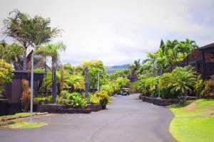 a street lined with palm trees and houses at Unit 11 Beautiful Ocean View in Pahala