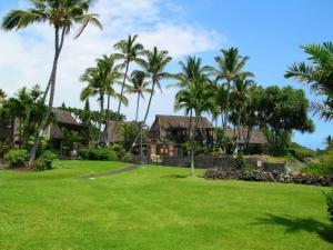 a large yard with palm trees and houses at Unit 17 Large 1 Bed 1 Bath Condo Ocean Views in Pahala