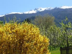 Paesaggio naturale nelle vicinanze dell'affittacamere