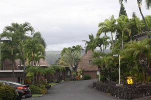 a street with palm trees in front of a house at 43 Studio Queen Bed in Pahala