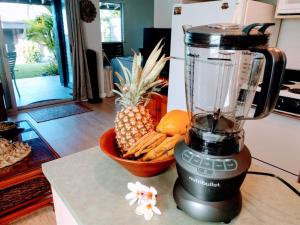 a blender sitting on a counter next to a bowl of snacks at 71 Dramatic Ocean and Lava in Pahala +32 photos