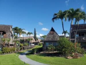 a path through a resort with palm trees at 71 Dramatic Ocean and Lava in Pahala