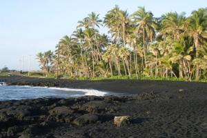 a black beach with palm trees in the background at 54 Old Hawaii Charm Condo in Pahala
