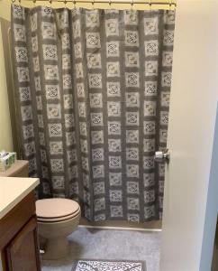 a bathroom with a toilet and a shower curtain at 2 Bedroom 2 Bath on Golf Course in Naalehu +6 photos
