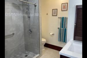 a bathroom with a shower with a toilet and a sink at Unit 05 Well Maintained Studio in Pahala +7 photos