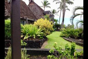 a garden in front of a house with palm trees at Unit 05 Well Maintained Studio in Pahala