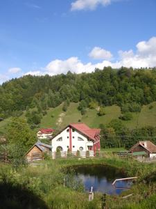 a house on a hill next to a lake at Casa Nobilă in Bran
