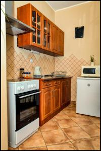 Kuchyň nebo kuchyňský kout v ubytování Apartmán Tilia