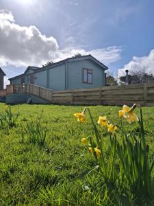 a yard with flowers in the grass with a house at The Cabin in Carbis Bay