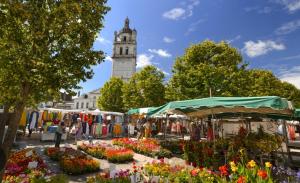 a market with flowers and a clock tower in the background at Agréable logement à Loches in Loches